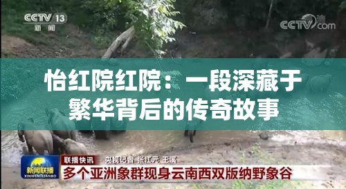 怡红院红院：一段深藏于繁华背后的传奇故事
