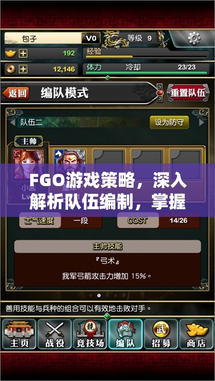 FGO游戏策略，深入解析队伍编制，掌握高效管理与资源利用的艺术