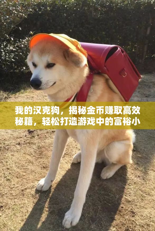 我的汉克狗，揭秘金币赚取高效秘籍，轻松打造游戏中的富裕小日子