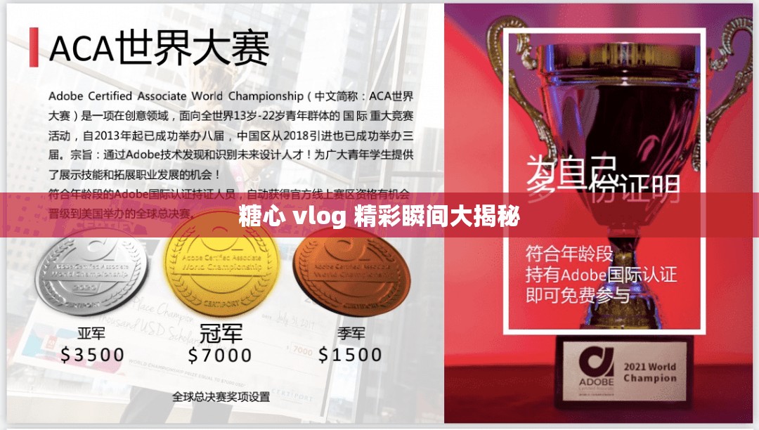 糖心 vlog 精彩瞬间大揭秘