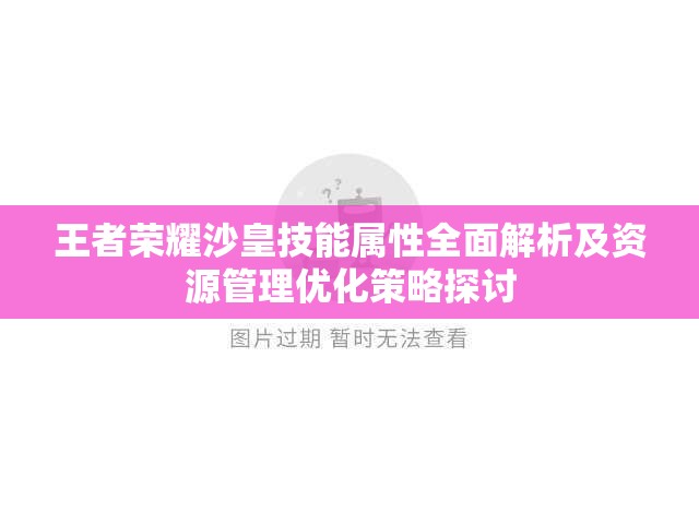 王者荣耀沙皇技能属性全面解析及资源管理优化策略探讨