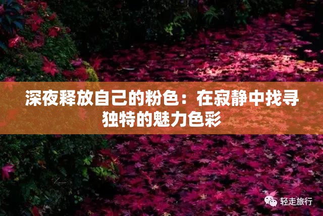 深夜释放自己的粉色：在寂静中找寻独特的魅力色彩