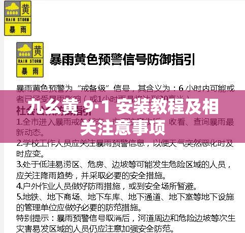 九幺黄 9·1 安装教程及相关注意事项