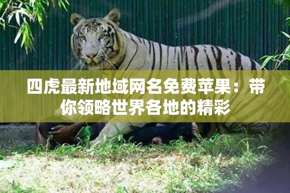 四虎最新地域网名免费苹果：带你领略世界各地的精彩