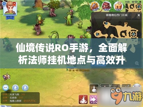 仙境传说RO手游，全面解析法师挂机地点与高效升级攻略
