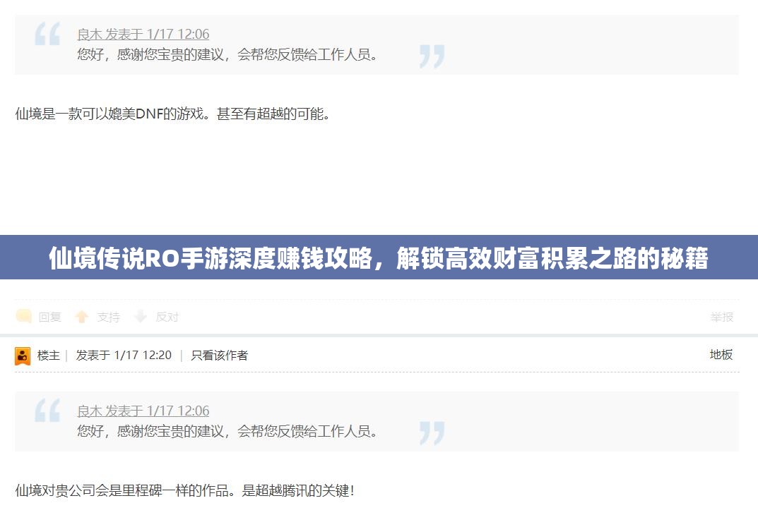 仙境传说RO手游深度赚钱攻略，解锁高效财富积累之路的秘籍