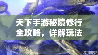 天下手游秘境修行全攻略，详解玩法技巧与积分获取策略