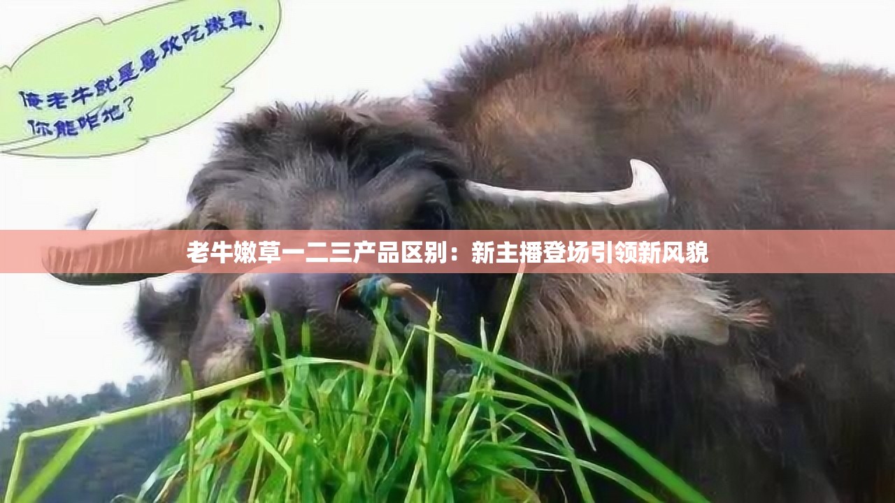 老牛嫩草一二三产品区别：新主播登场引领新风貌