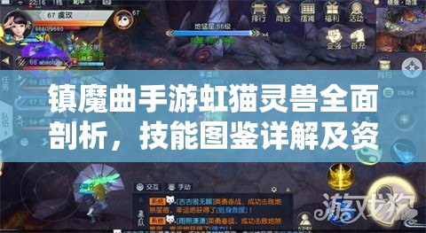 镇魔曲手游虹猫灵兽全面剖析，技能图鉴详解及资源管理高效利用策略