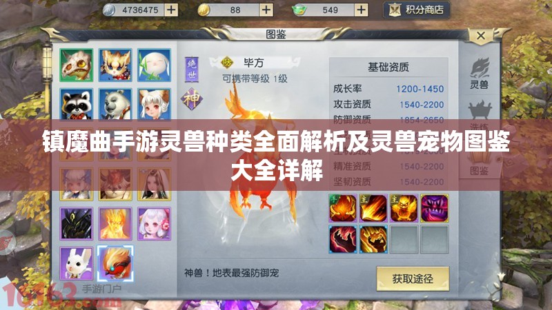 镇魔曲手游灵兽种类全面解析及灵兽宠物图鉴大全详解