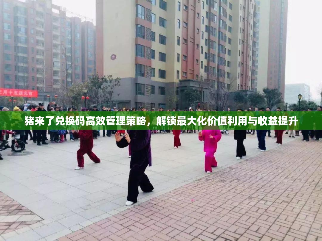 猪来了兑换码高效管理策略，解锁最大化价值利用与收益提升