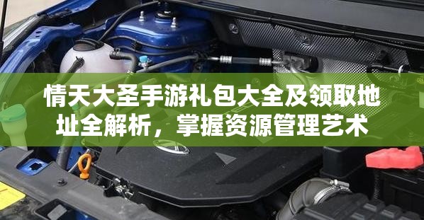 情天大圣手游礼包大全及领取地址全解析，掌握资源管理艺术