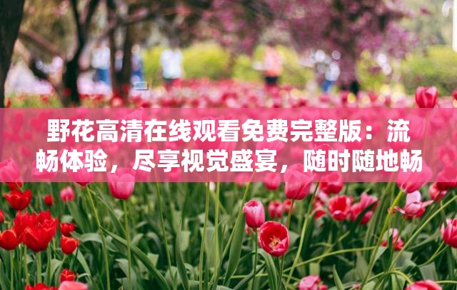 野花高清在线观看免费完整版：流畅体验，尽享视觉盛宴，随时随地畅享精彩剧情