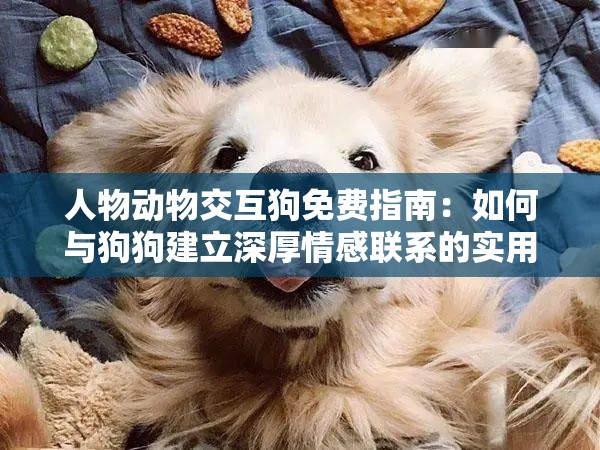 人物动物交互狗免费指南：如何与狗狗建立深厚情感联系的实用技巧分享