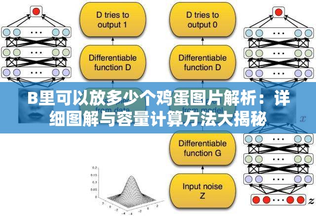 B里可以放多少个鸡蛋图片解析：详细图解与容量计算方法大揭秘
