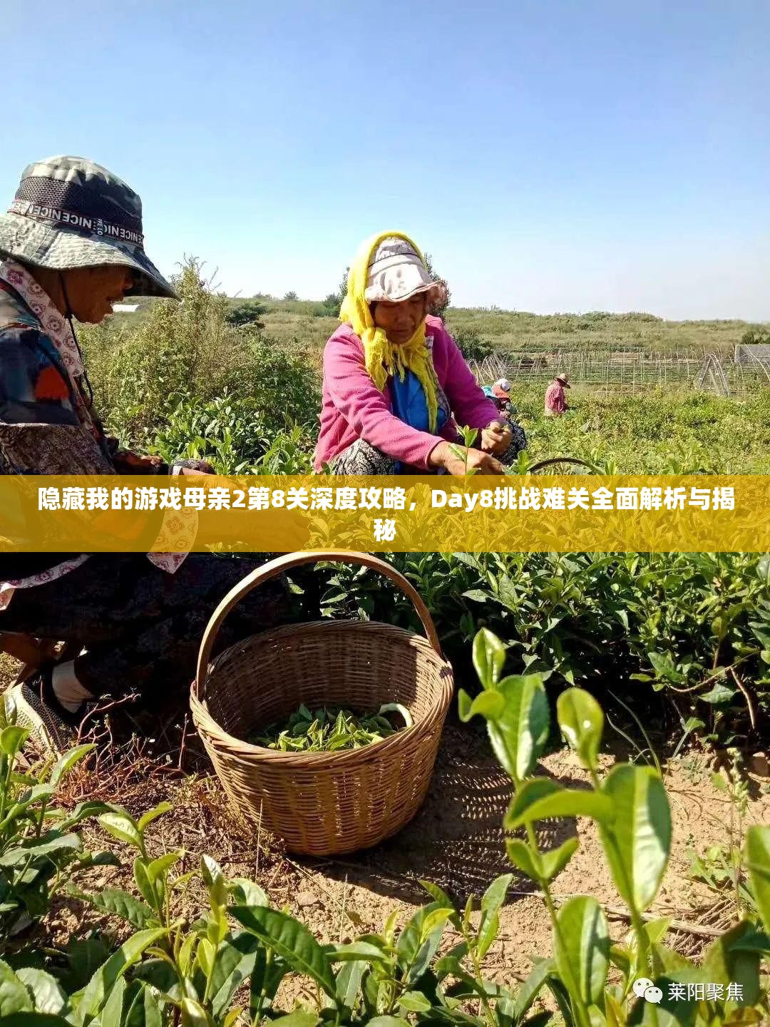 隐藏我的游戏母亲2第8关深度攻略，Day8挑战难关全面解析与揭秘