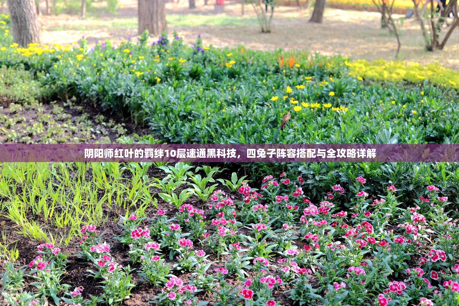 阴阳师红叶的羁绊10层速通黑科技，四兔子阵容搭配与全攻略详解