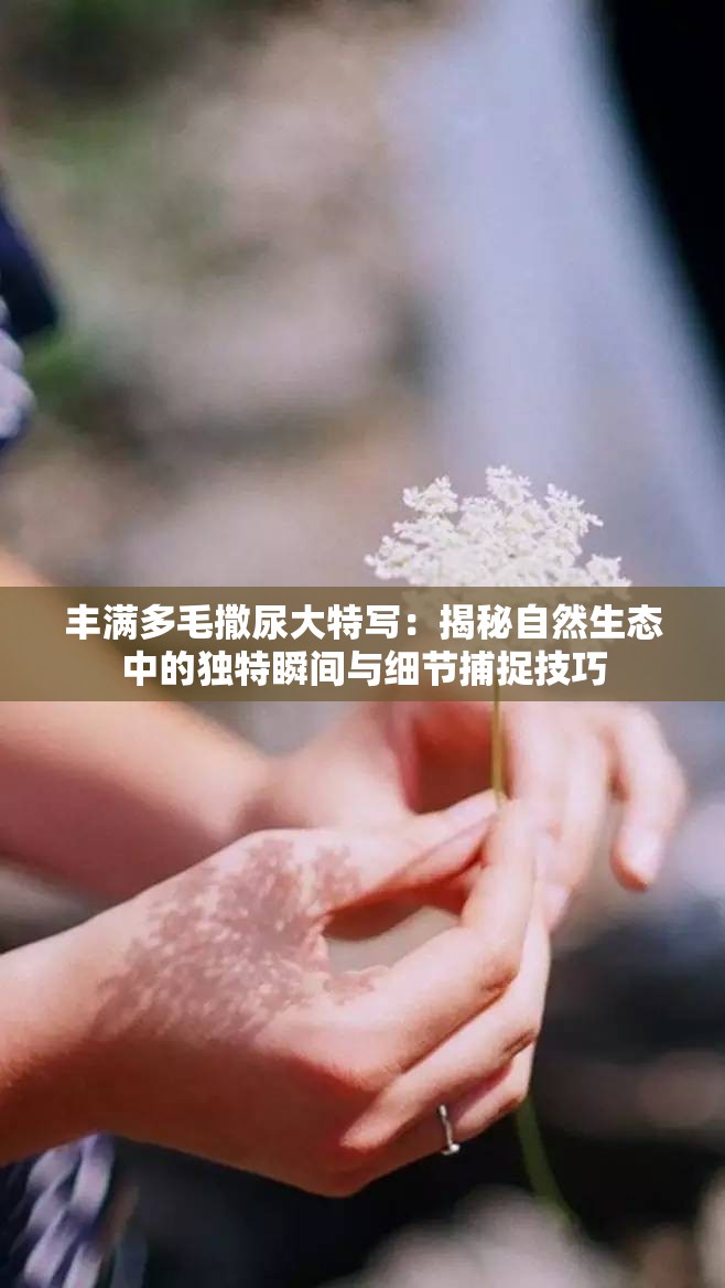 丰满多毛撒尿大特写：揭秘自然生态中的独特瞬间与细节捕捉技巧