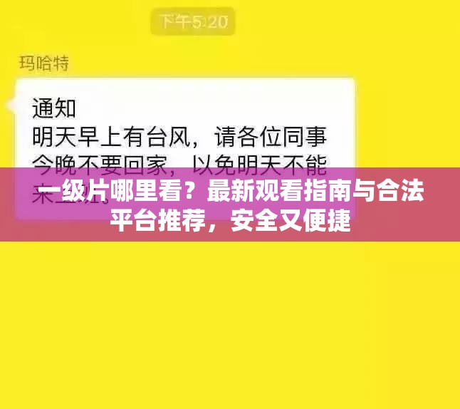 一级片哪里看？最新观看指南与合法平台推荐，安全又便捷
