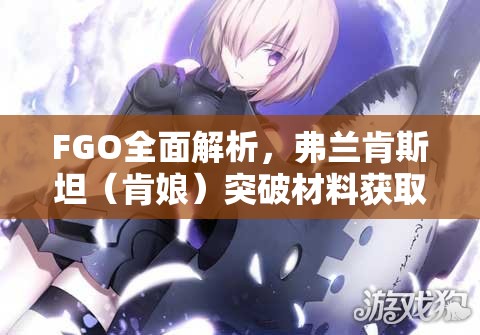 FGO全面解析，弗兰肯斯坦（肯娘）突破材料获取全攻略
