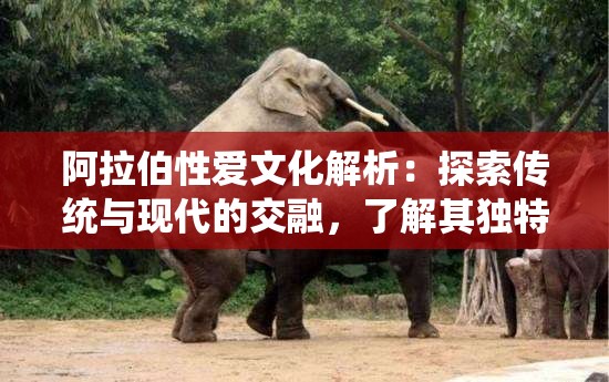 阿拉伯性爱文化解析：探索传统与现代的交融，了解其独特魅力与深层意义