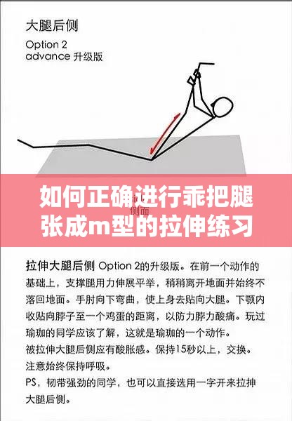 如何正确进行乖把腿张成m型的拉伸练习？详细步骤与注意事项解析