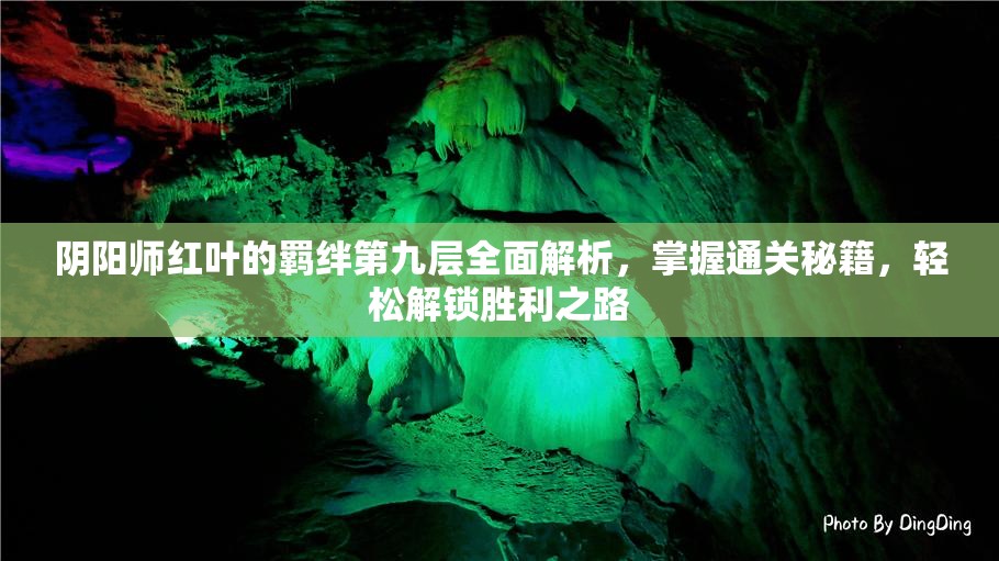 阴阳师红叶的羁绊第九层全面解析，掌握通关秘籍，轻松解锁胜利之路