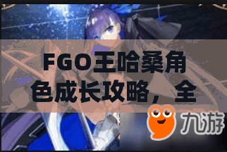 FGO王哈桑角色成长攻略，全面揭秘灵基突破材料及提升技巧