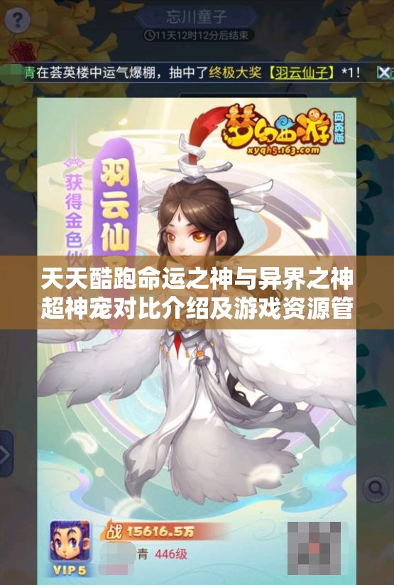 天天酷跑命运之神与异界之神超神宠对比介绍及游戏资源管理策略