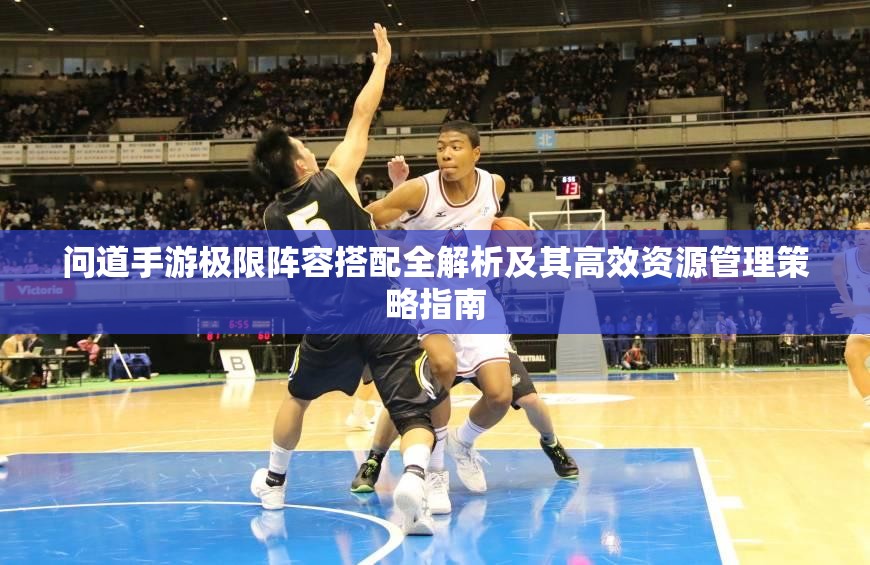 问道手游极限阵容搭配全解析及其高效资源管理策略指南