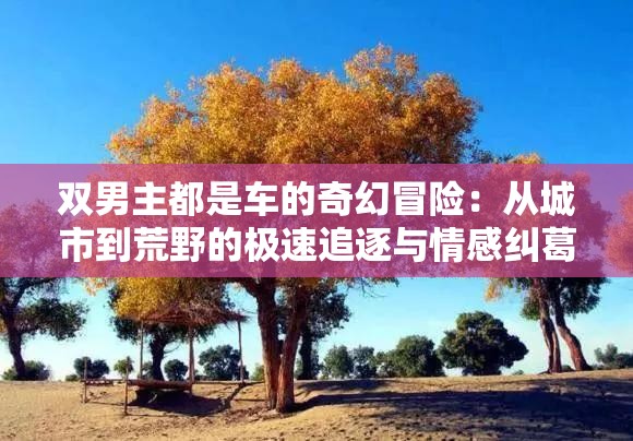 双男主都是车的奇幻冒险：从城市到荒野的极速追逐与情感纠葛