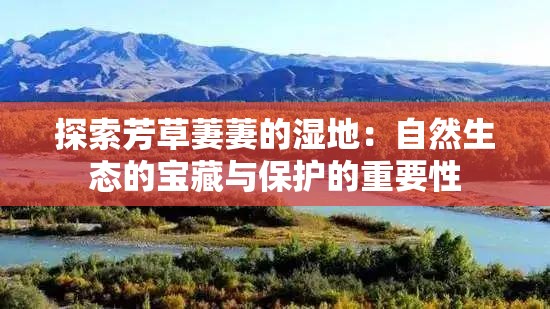 探索芳草萋萋的湿地：自然生态的宝藏与保护的重要性