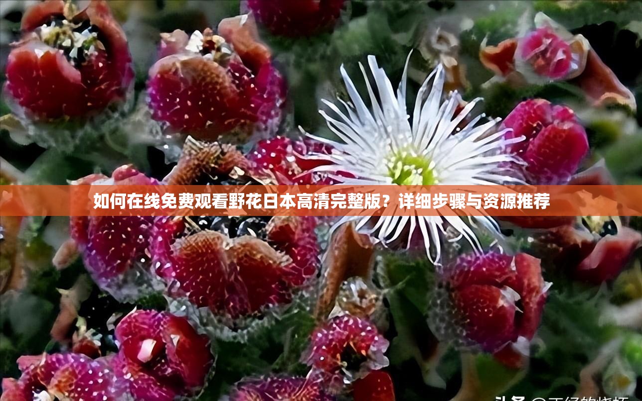 如何在线免费观看野花日本高清完整版？详细步骤与资源推荐