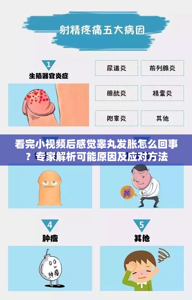 看完小视频后感觉睾丸发胀怎么回事？专家解析可能原因及应对方法