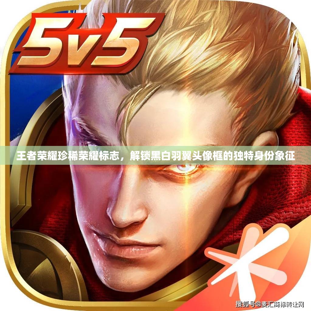 王者荣耀珍稀荣耀标志，解锁黑白羽翼头像框的独特身份象征