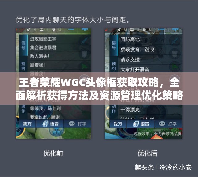 王者荣耀WGC头像框获取攻略，全面解析获得方法及资源管理优化策略