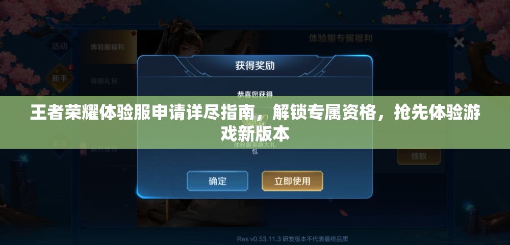 王者荣耀体验服申请详尽指南，解锁专属资格，抢先体验游戏新版本