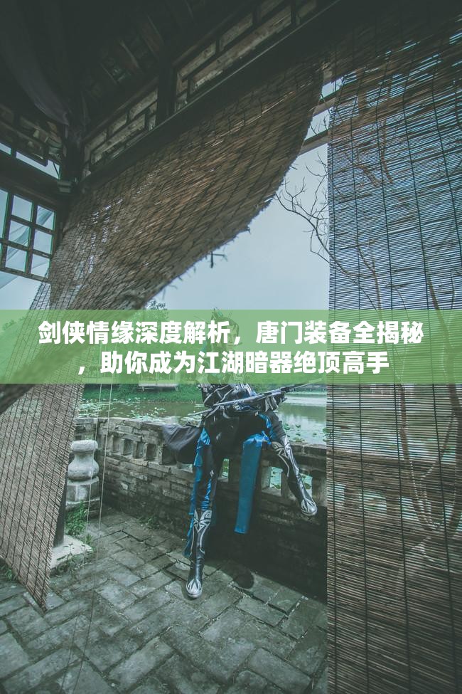 剑侠情缘深度解析，唐门装备全揭秘，助你成为江湖暗器绝顶高手