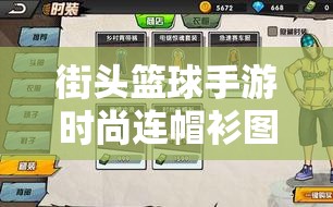 街头篮球手游时尚连帽衫图鉴介绍，解析其在资源管理中的独特价值与魅力