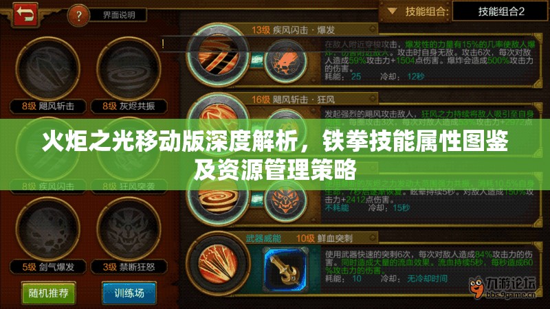 火炬之光移动版深度解析，铁拳技能属性图鉴及资源管理策略
