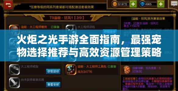 火炬之光手游全面指南，最强宠物选择推荐与高效资源管理策略