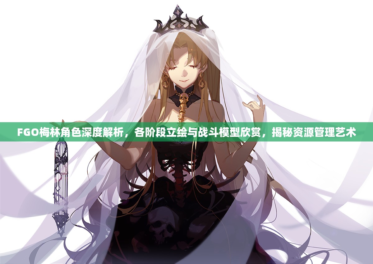 FGO梅林角色深度解析，各阶段立绘与战斗模型欣赏，揭秘资源管理艺术