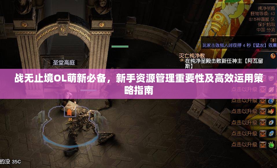 战无止境OL萌新必备，新手资源管理重要性及高效运用策略指南