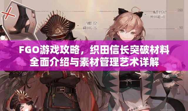 FGO游戏攻略，织田信长突破材料全面介绍与素材管理艺术详解