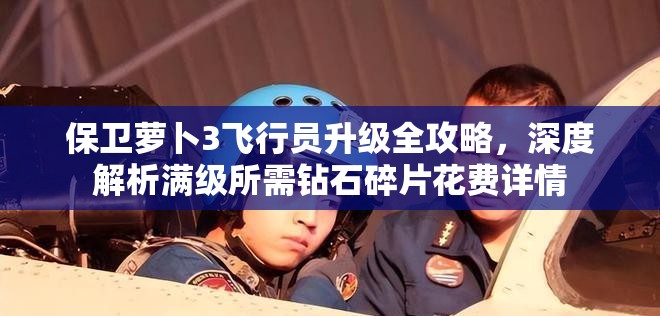保卫萝卜3飞行员升级全攻略，深度解析满级所需钻石碎片花费详情
