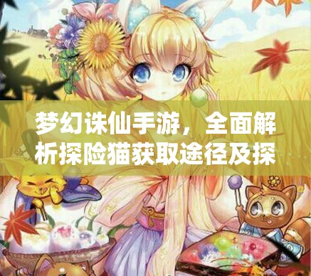 梦幻诛仙手游，全面解析探险猫获取途径及探险价值最大化策略