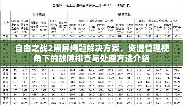 自由之战2黑屏问题解决方案，资源管理视角下的故障排查与处理方法介绍