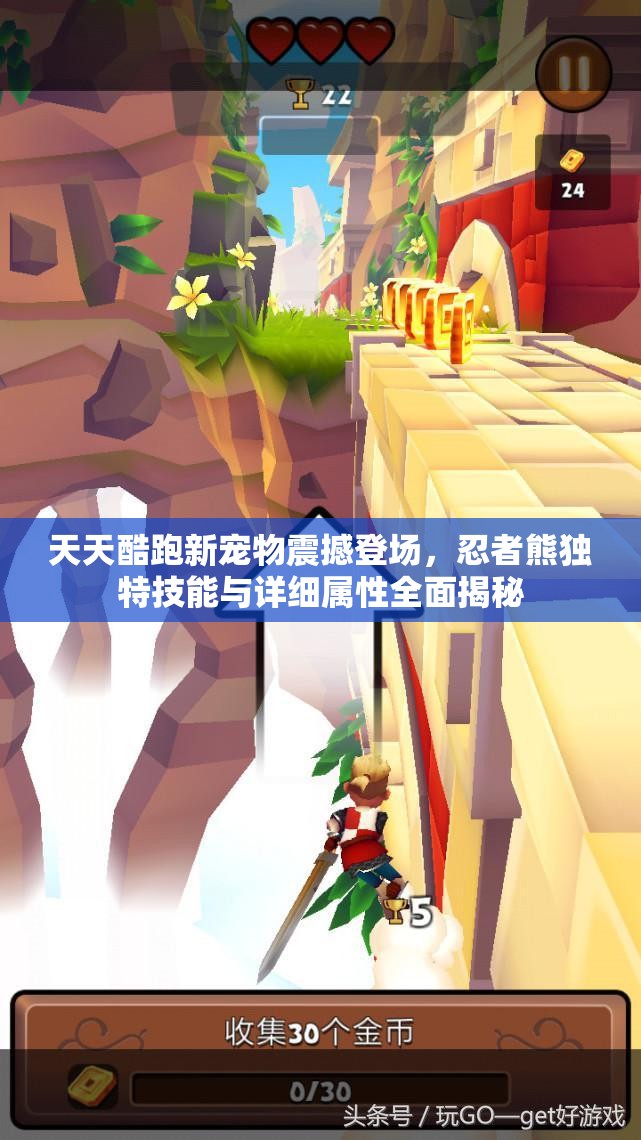 天天酷跑新宠物震撼登场，忍者熊独特技能与详细属性全面揭秘