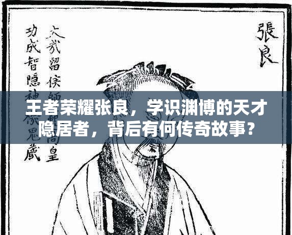 王者荣耀张良，学识渊博的天才隐居者，背后有何传奇故事？
