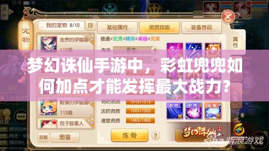 梦幻诛仙手游中，彩虹兜兜如何加点才能发挥最大战力？